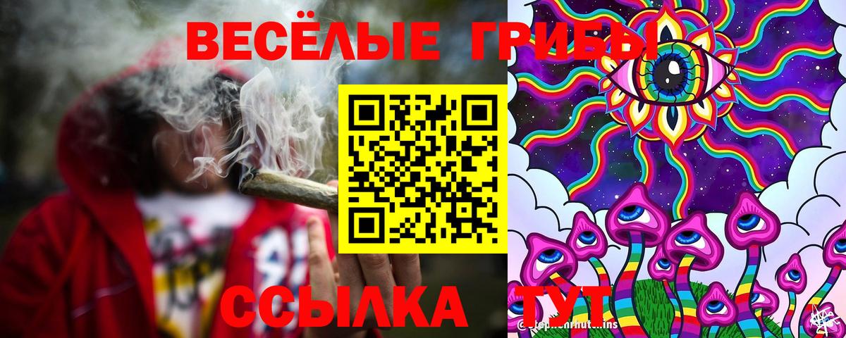 Галлюциногенные грибы ЛСД Иваново